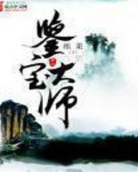 鉴宝大师TXT