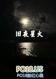 旧夜星火讲什么