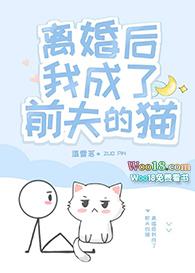 离婚后我成了前夫的猫格格党