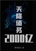 天降债务2000亿无防盗