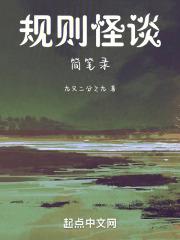 规则这本书