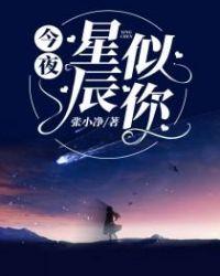 今夜星辰似你傅爷宠妻入骨完整版