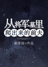 从将军大结局