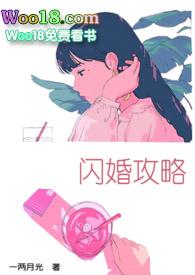 闪婚攻略全集