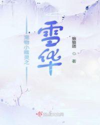 宠物小精灵之灵雪女神