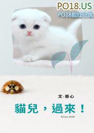 猫来了儿歌