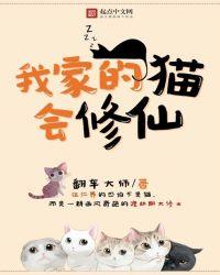 我家的猫可爱吗