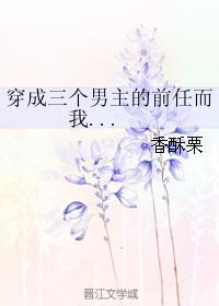 穿成三个男主的前任而我对此一无所知