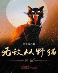 无敌从野猫开始 风无痕