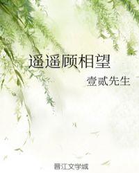 遥遥相望是成语吗