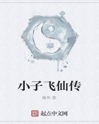 小飞子什么意思