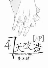 HP47天改造百度