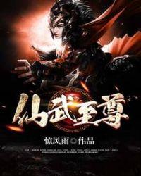 仙武至尊境界介绍