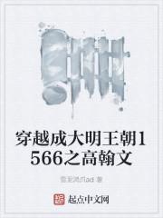 大明王朝1566 高翰林