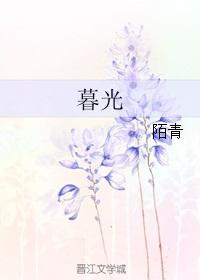 暮光是什么意思