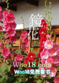 镜花百合无弹窗免费阅读最新章节