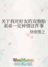 关于我对好友的双胞胎弟弟一见钟情这件事讲的什么