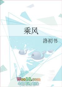 乘风破浪演员表