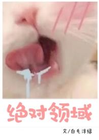 绝对领域是啥意思