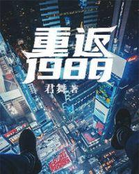 重返1988陆峰