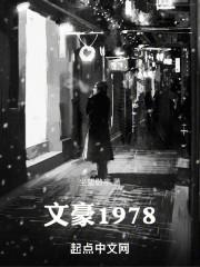 文豪1978无防盗章节