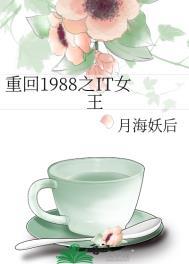 重回1988视频