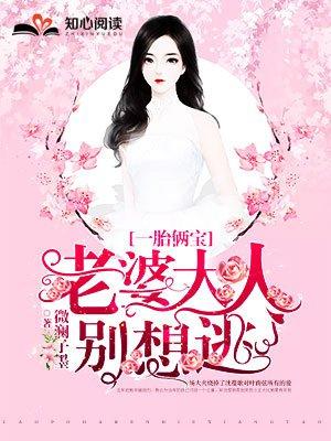 一胎俩宝老婆大人别想逃免费