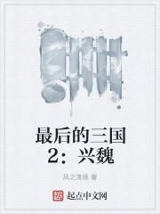 最后的三国2兴魏无防盗