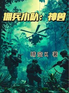 ava雇佣兵小队