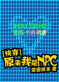 原来我是npc快穿资源