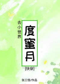 去小世界度蜜月快穿张三悟