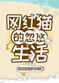 网红猫的悠闲生活完整版