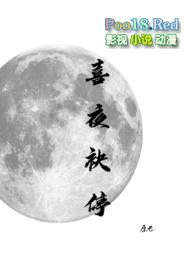 喜夜袂停最新章节免费阅读