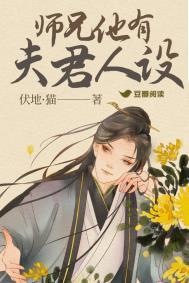 师兄他有夫君人设免费阅读全文