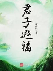 君子无暇什么意思