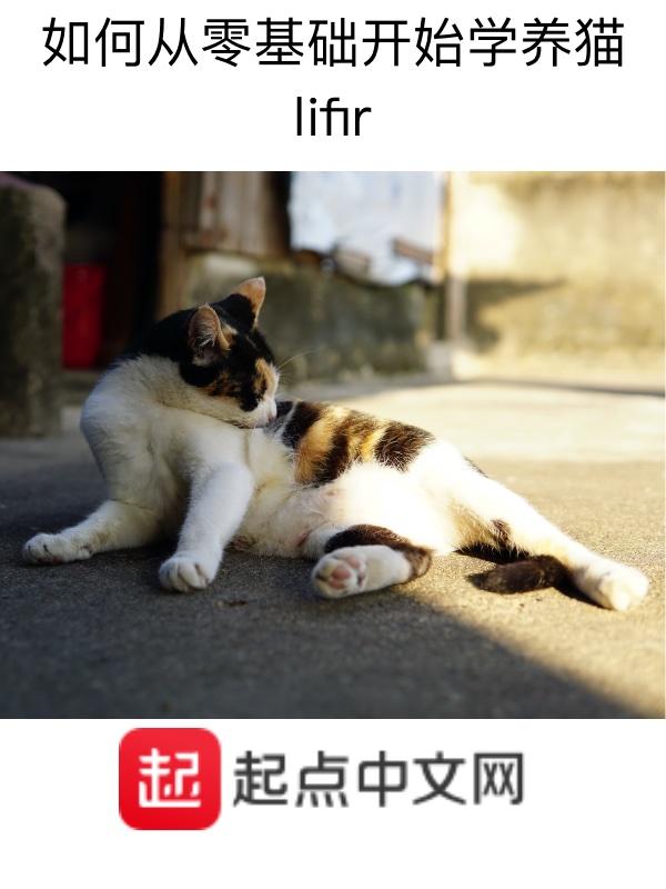 如何从零基础开始学养猫呢