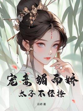 太子宠妾珠儿乐文