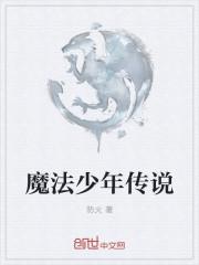 梦想成为魔法少年