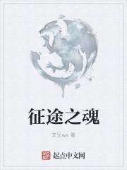 征途2将魂怎么加点