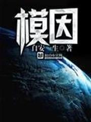 模因武器什么意思