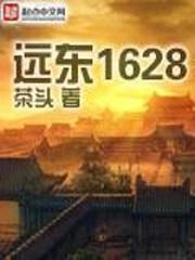 远东1628评论