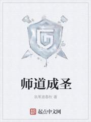 师道成圣TXT