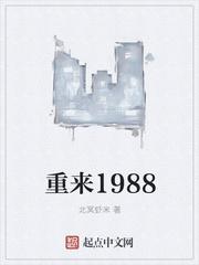 重来1988IT女王