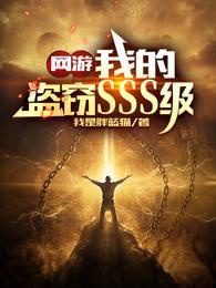 网游我的盗窃SSS级(1-493)