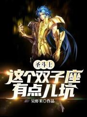 圣斗士这个双子座有点儿坑防盗版