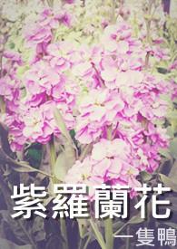 紫罗兰花是什么颜色