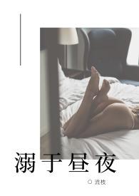 溺于昼夜有没有完结