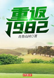 重返1982别人下海我上山