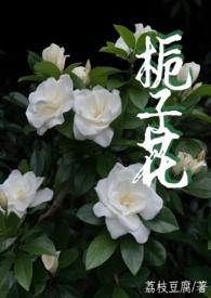 栀子花写的有哪些