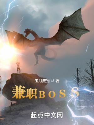 兼职BOSS免费阅读无防盗